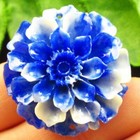 Carved Blue Giant Clam Flower Pendant Bead 32x18mm H47321