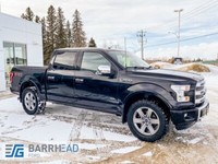 2015 Ford F-150 Platinum SuperCrew 4WD