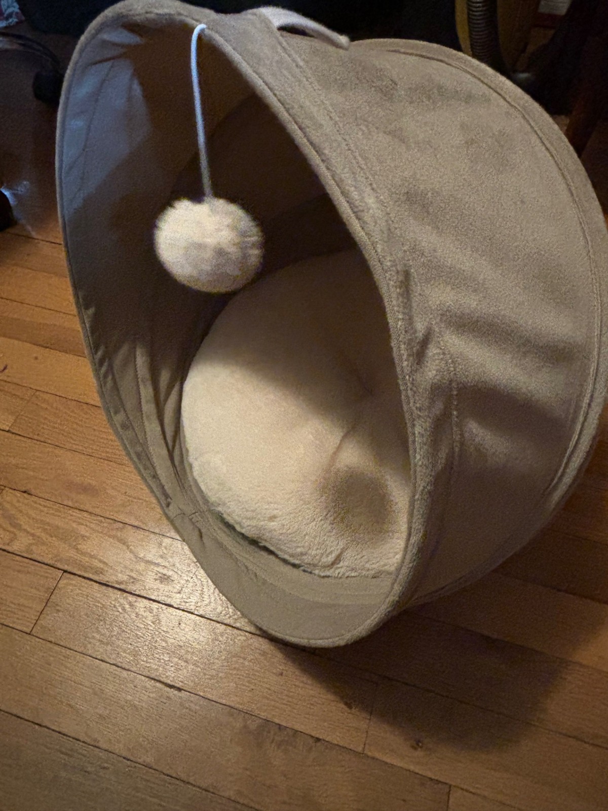 Cat Bed With Cushion - New Never Used