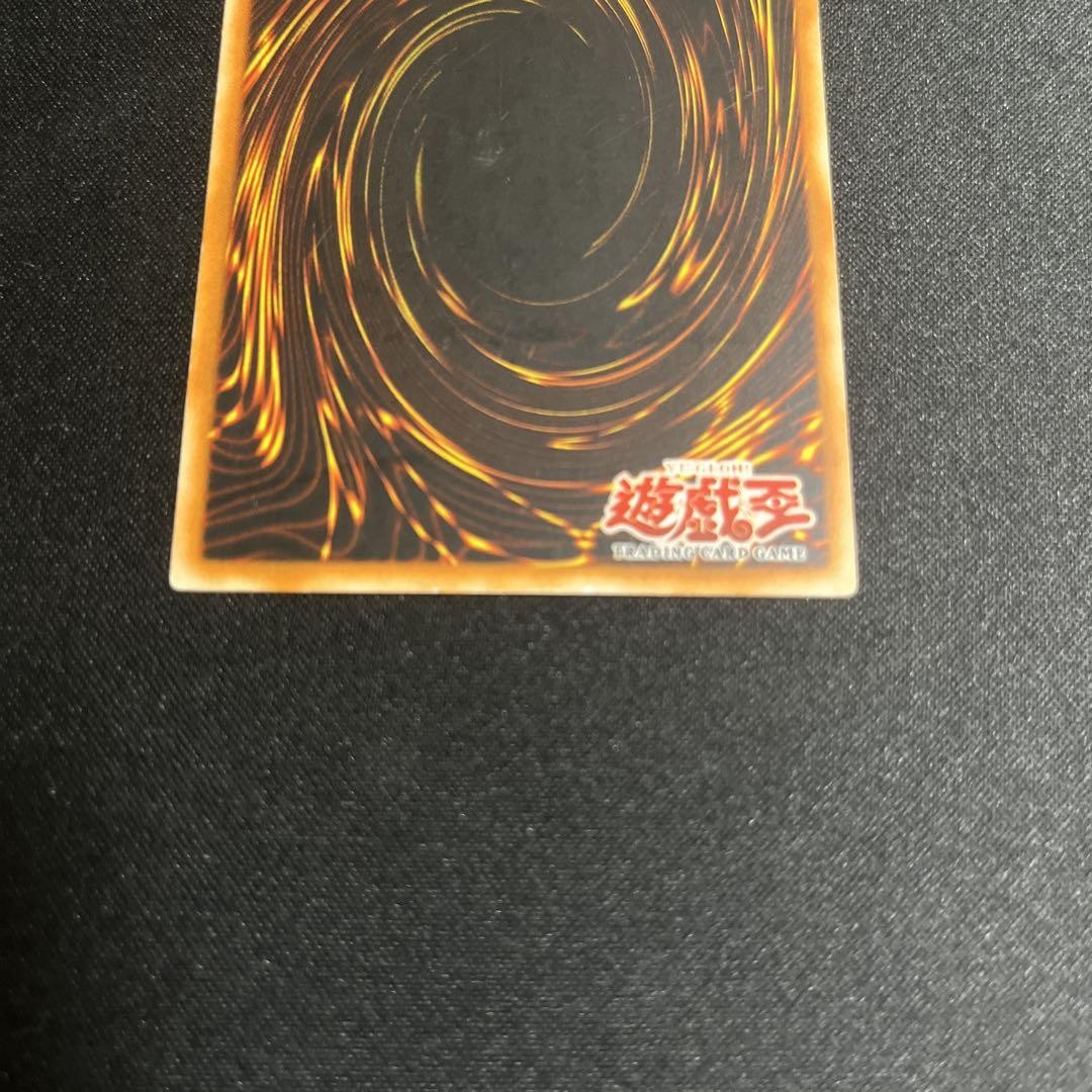 Foto 11 di 11