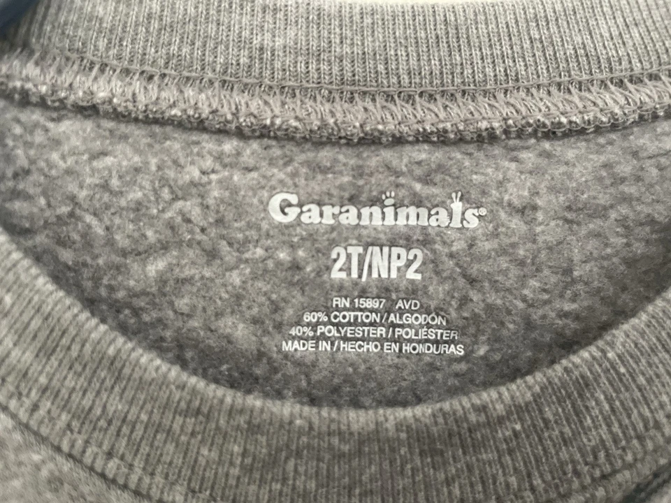 Sudadera Pullover Gris 2T Garanimals Niño Pequeño Estampado Dinosaurio Polar Foto 2 de 4