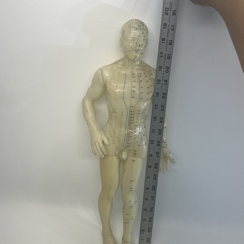Vintage 20" Tall Acupuncture Acupressure Male Model Doll Rubber Chinese - Picture 9 of 9