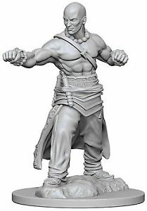 Human Male Monk Wizkids Pathfinder 72612