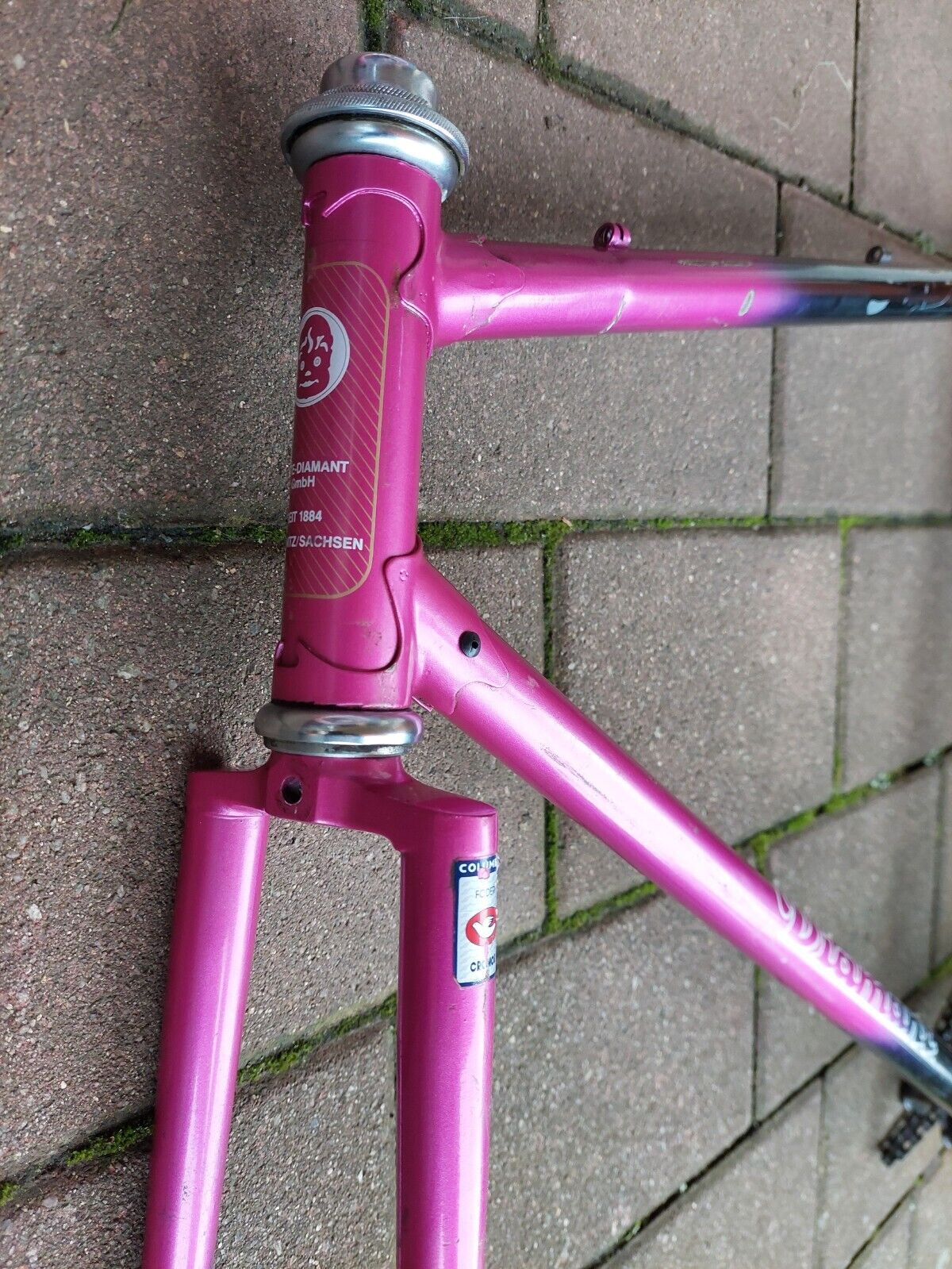 Bild 6 von 13