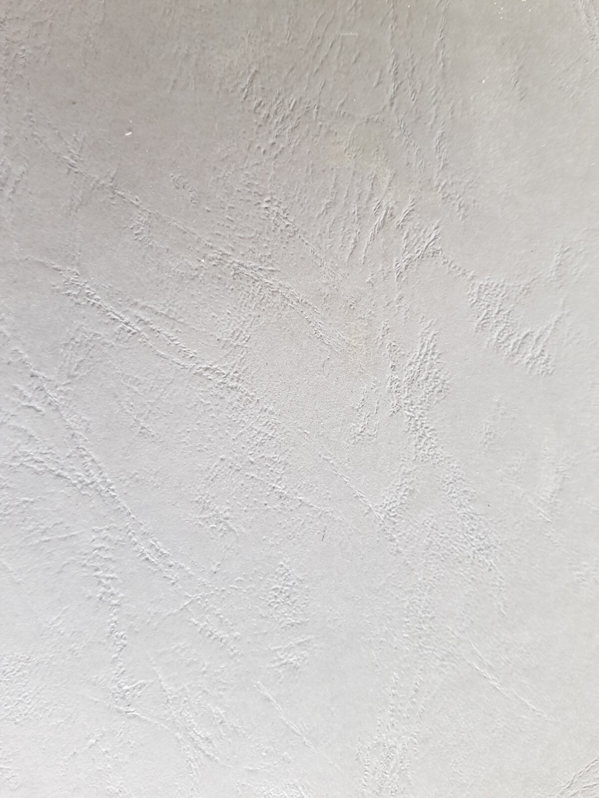 Picture 7 of 12