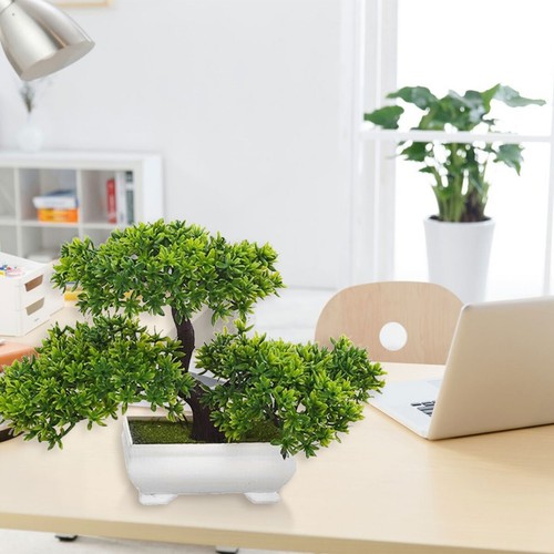 Künstliche Pflanzen Bonsai Kunstpflanzen Topfpflanzen Baum Im Topf Pflanze Dekor - Bild 6 von 9