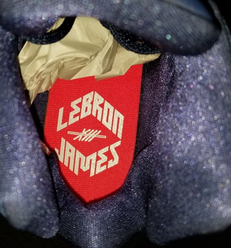 ZAPATOS DE BALONCESTO NIKE LEBRON 13 EE. UU. AZUL MARINO ROJO PARA HOMBRE 807219-461 (TALLA 10.5) - Imagen 12 de 15