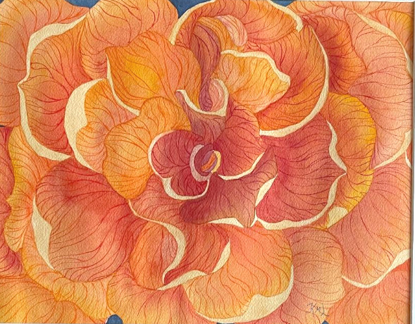PAINTING WATERCOLOR ORIGINAL ART FLOWER BEGONIA ORANGE RED 11X14 WHITE MAT 16X20