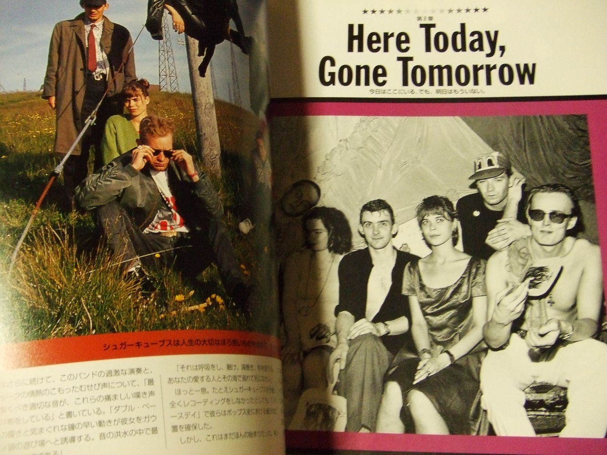 ビョーク Bjork THE ILLUSTRATED STORY ポールレスター Unified Goods