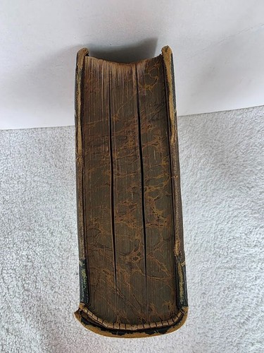 ANTIQUE MUSEUM OF ANTIQUITY ILLISTRATED- ACIENT LIFE - PUBLISHED 1881 - Bild 5 von 24