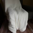 Bild 2 von 2