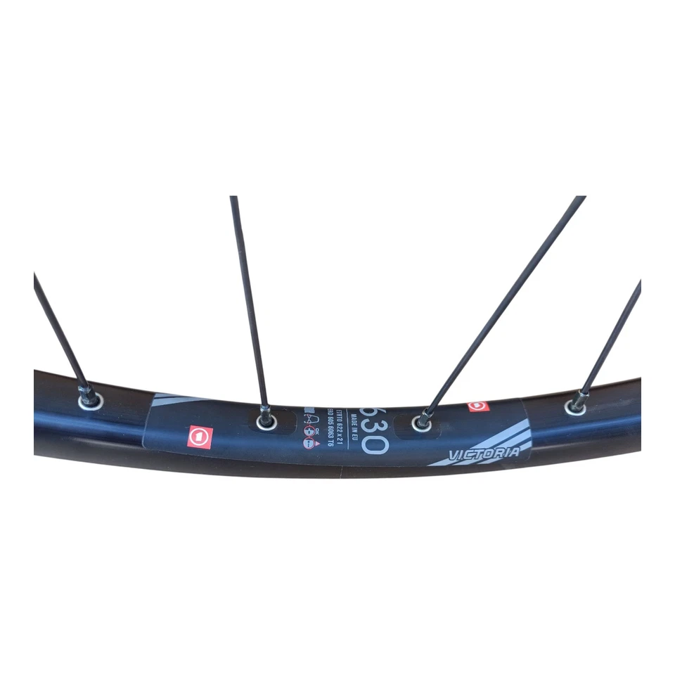 ENVIOLO Heavy Duty Komplettrad 28 Zoll Disc Schwarz 28 Zoll DT Swiss Speiche NEU - Bild 3 von 4