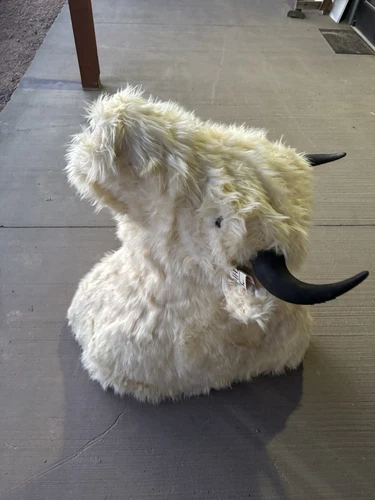 Faux Reproduction Buffalo / Bison Shoulder Taxidermy Mount ) Fa748 - Picture 5 of 6