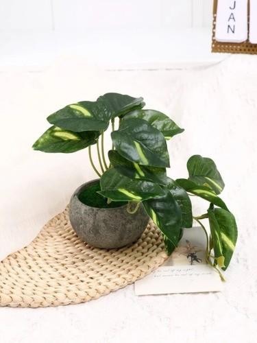 Planta Artificial en Maceta Pequeña Hoja Verde Decoración para Escritorio Oficina o Estante Expositor - Imagen 4 de 6