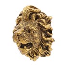 Wall Mounted Resin Lion Head Fountain Nozzle for Garden Decorative Water Feature