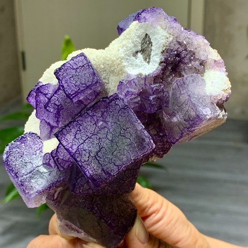 1,27 Pfund natürliches lila "QR-Code" Fluorit Cluster Kristall Mineral Probe/Guizhou - Bild 7 von 20