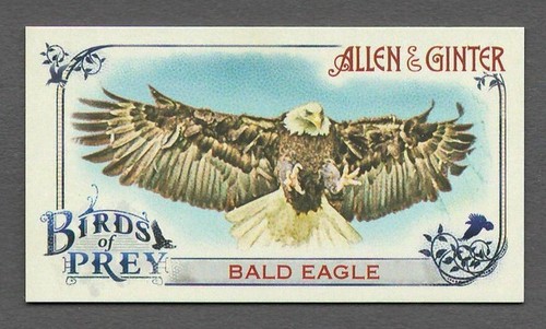 BALD EAGLE 2015 Topps Allen and Ginter MINI BIRDS OF PREY Insert Card #BP-2 USA