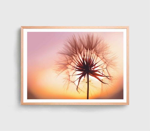 Dandelion Seed Print, Flowers Wall Art, Sunset Sky Framed Flower Wall Art,Floral - Picture 5 of 5