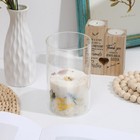 Bild 7 von 12