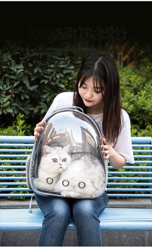 Pet Carrier Backpack Cats Puppies Cat Dog Carrying Bag Travel Transparent Bag - Picture 9 of 17