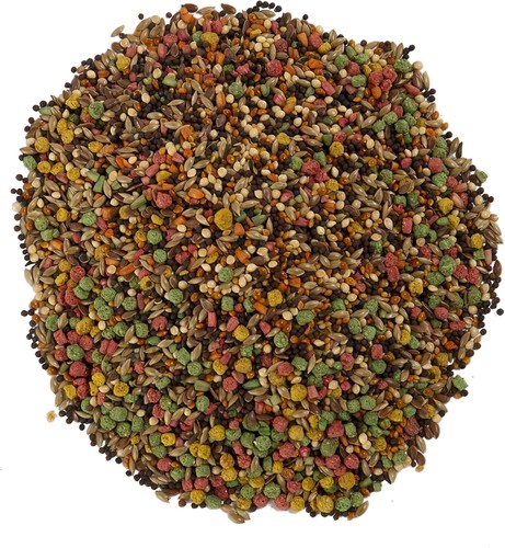Wild Harvest B12492Q-001 Canary and Finch Food Blend, One 2 Pound (Pack of 1) - Picture 2 of 5