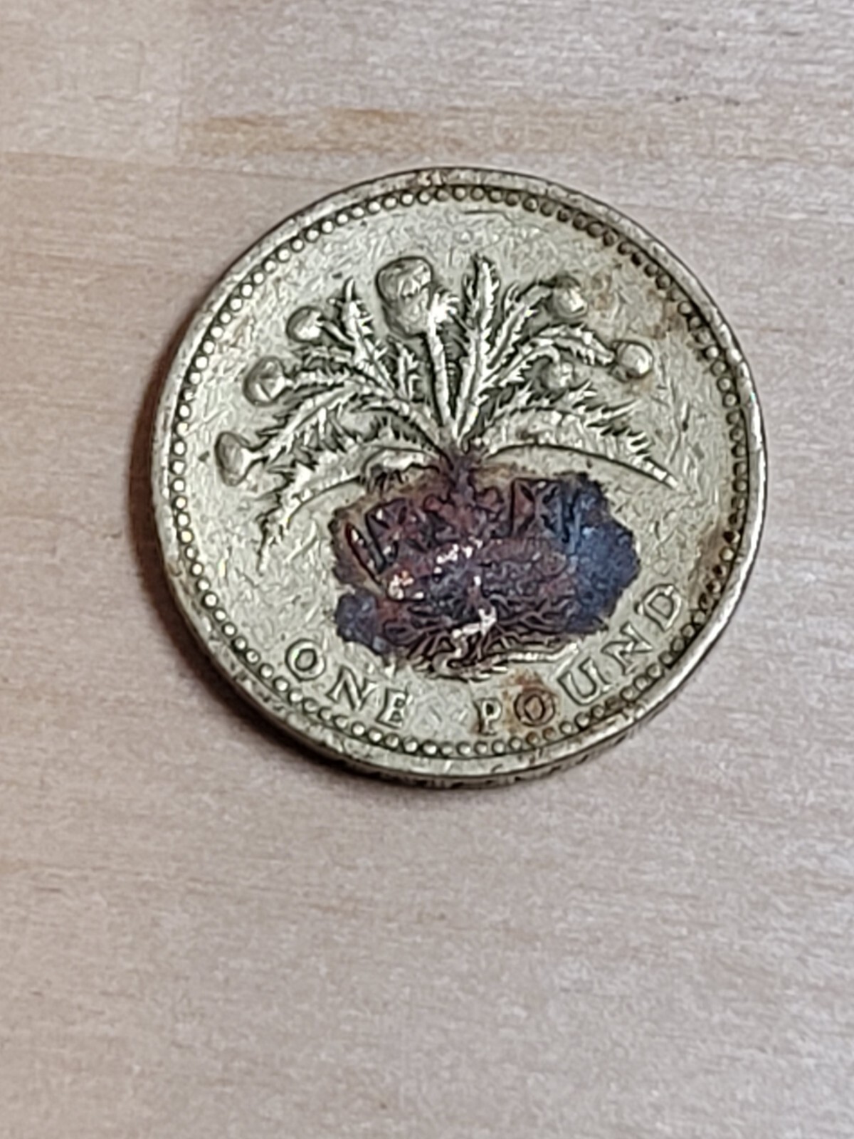 Picture 3 of 4