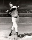 Boston Red Sox Ted Williams Glossy 8x10 Photo Baseball Print Poster Hof 66
