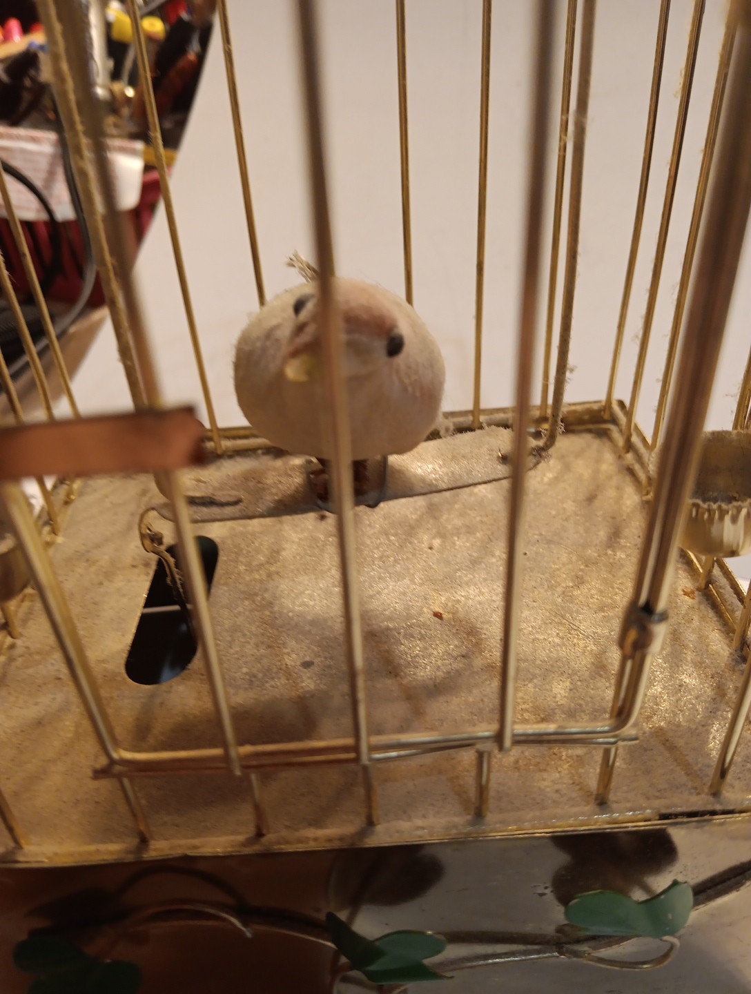 Picture 19 of 20