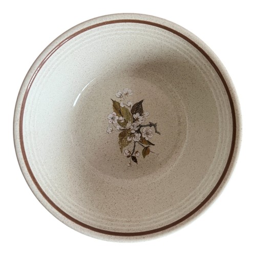 Set of 6 Royal Doulton LS1038 Lambethware Wild Cherry Cereal / Soup Bowls D16 cm - Picture 8 of 10