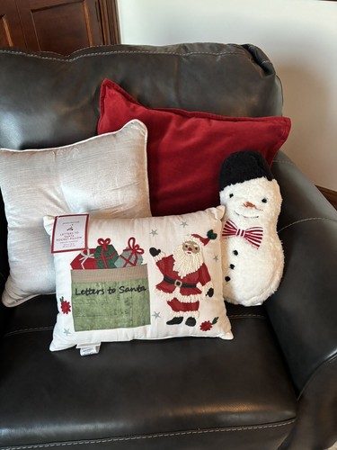 Disney Pottery Barn Snowman Christmas pillow Seuss Holiday Gift party boy girl , - Picture 5 of 14