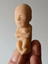1 soft rubber model fetus, unusual medical fetal doll, abortion