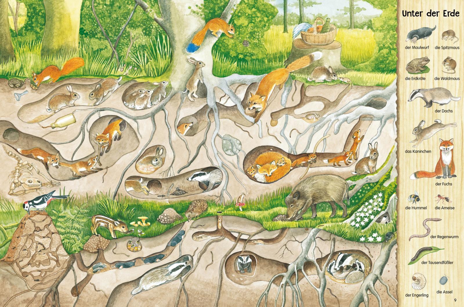 Thumbnail - Mein Großes Natur-wimmelbuch Christine Henkel