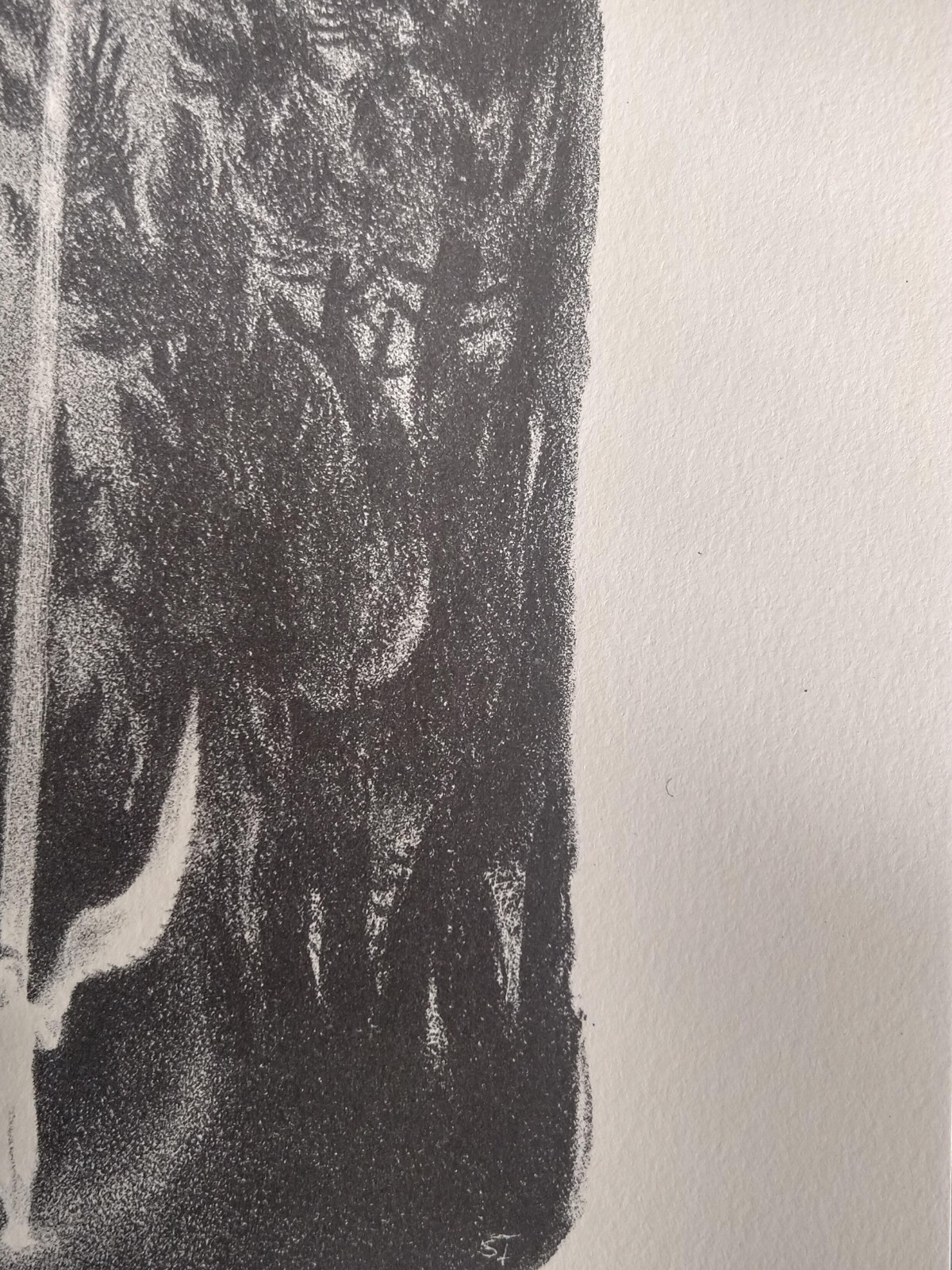 Picture 2 of 10