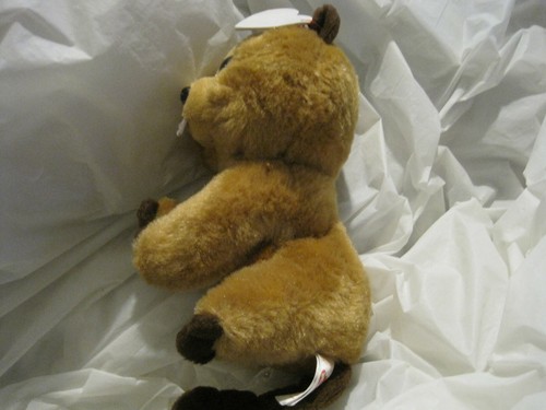 Richie (Beaver) TY Beanie Babys Kollektion 6 Zoll ~ braun ~ LBDD0 - Bild 2 von 4