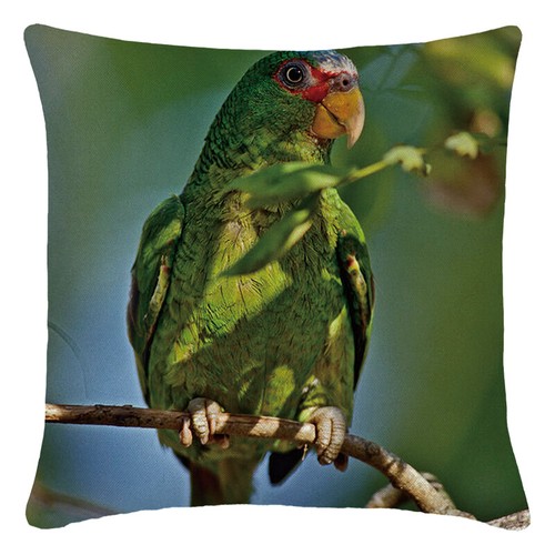 Macaw Bird Tropical Jungle Leaves Throw Pillow Cover Parrot Accent Cushion Case - Picture 11 of 60