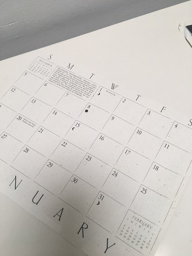 Lote de 2 mapaches pájaros carpinteros cabeza roja impresiones litografía W. Morgan - Imagen 5 de 8