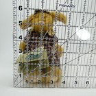 Bild 10 von 10