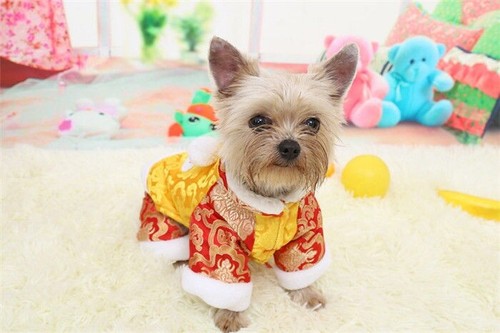 Hund Haustier Chinesisches traditionelles Kostüm Welpe warme Kleidung Mantel Jacke Oberbekleidung - Bild 7 von 16