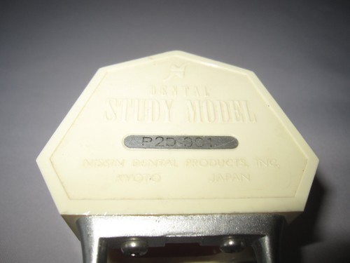 Zahngebiss- Parodontiemodel P2D-001, Parodontosemodel Nissin Dental Kyoto, Japan - Bild 3 von 12