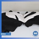 Foto 11 di 18