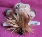 Bild 14 von 19