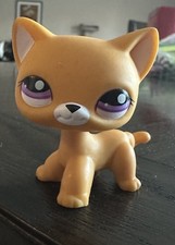 Littlest Pet Shop 2433 Shorthair Cat Orange Purple Eyes