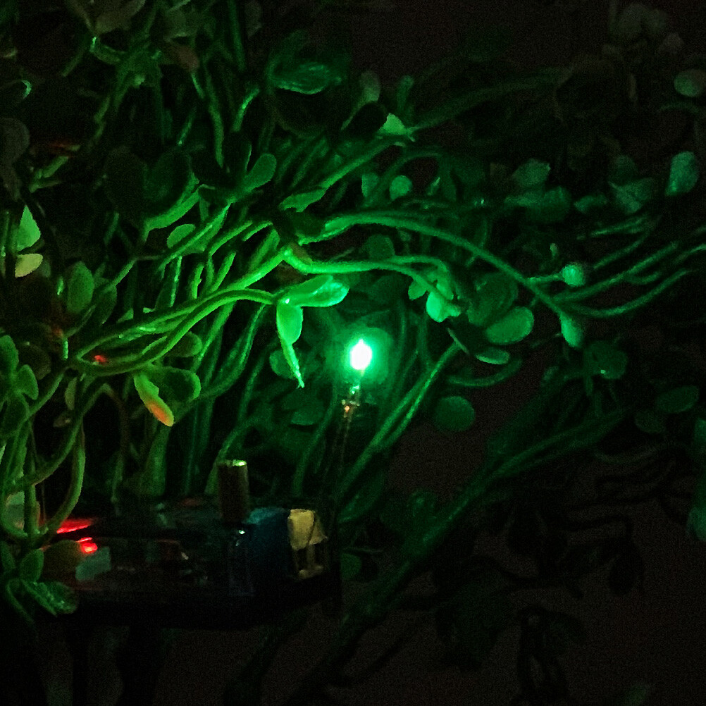Picture 4 of 4