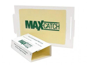 Catchmaster Mouse Control Glue Board Traps with Scent of Peanut Butter (Pack of 72) (72MB)