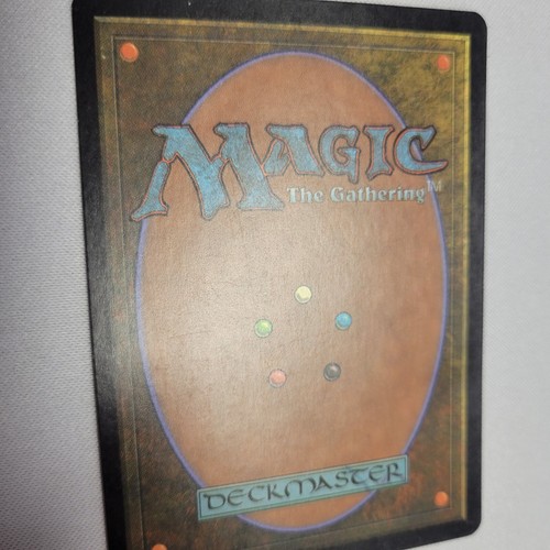 Guru Forest English Land MTG Magic the Gathering - Bild 11 von 14