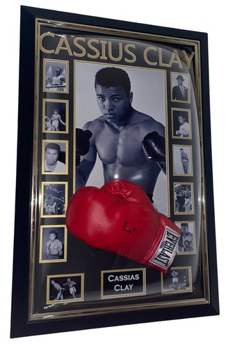 Cassius Clay SIGNED Glove Autograph Muhammad Ali! Steiner Certified Hologram - Picture 3 of 5
