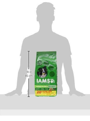 IAMS PROACTIVE HEALTH Adult Minichunks Small Kibble High Protein Dry Dog Food - Picture 8 of 12