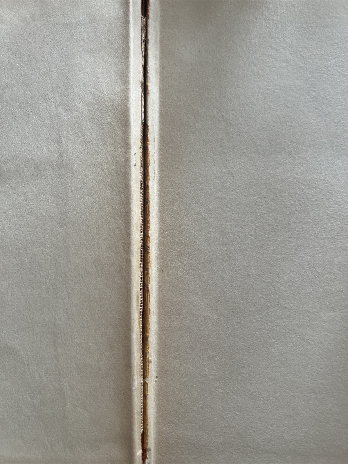 Picture 8 of 16