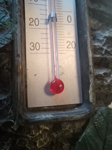 Decorative Indoor/Outdoor thermometer 21cm - Picture 3 of 7