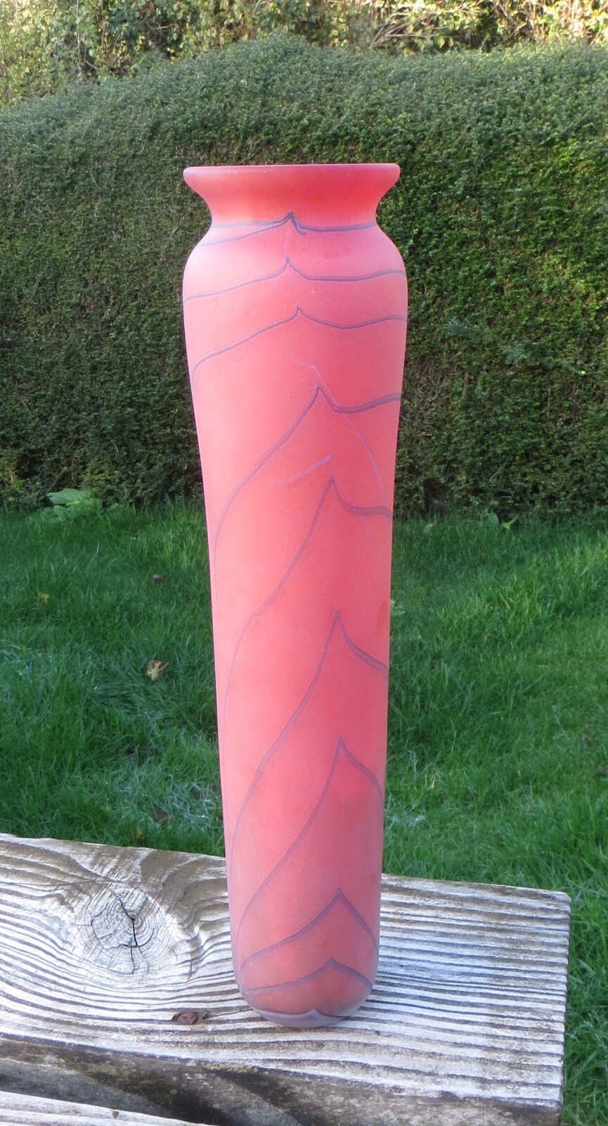 Picture 5 of 11